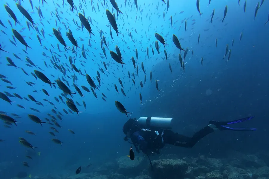 Buzo certificado explorando un arrecife de Zihuatanejo rodeado de un cardumen de peces