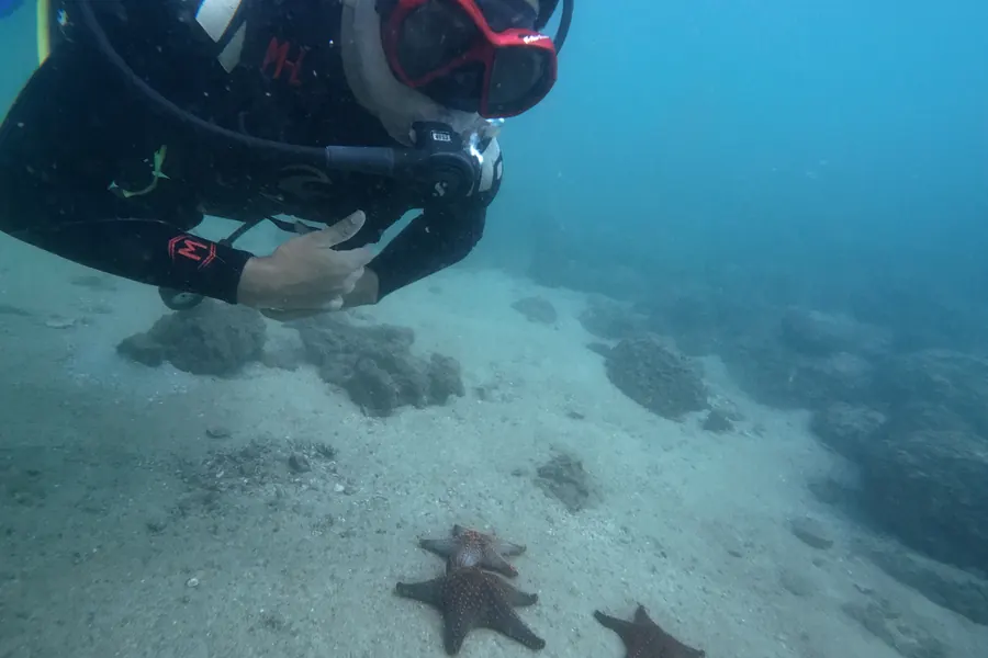 Buceo para Principiantes en Ixtapa Zihuatanejo