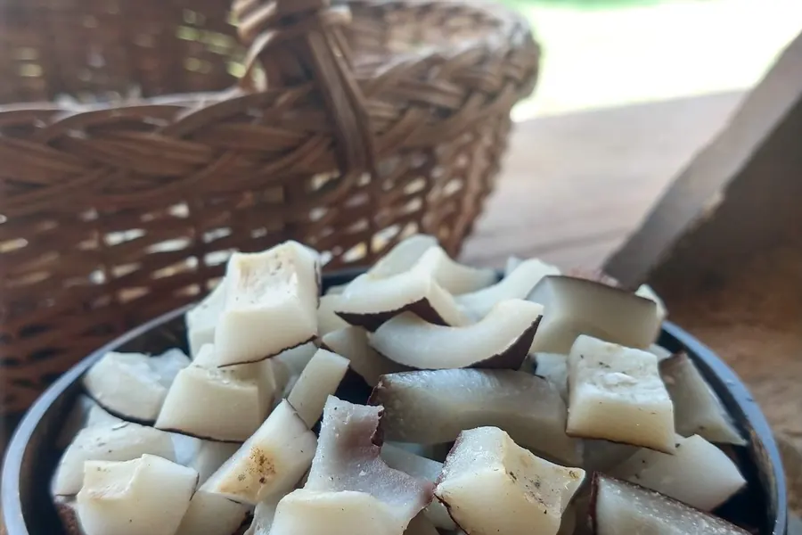 Tour de Huertas y Coco en Ixtapa Zihuatanejo