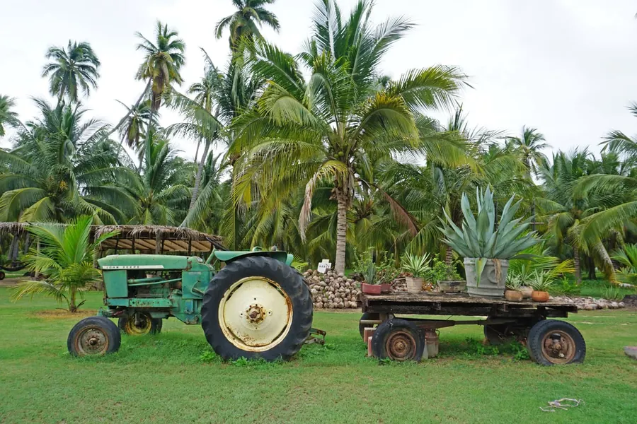 Tour de Huertas y Coco en Ixtapa Zihuatanejo