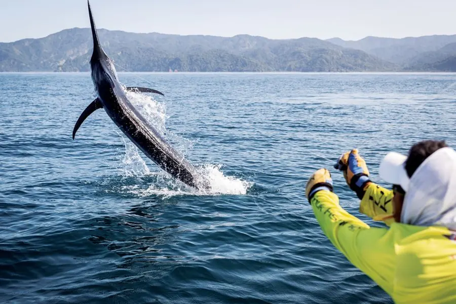 Pesca Grande en Ixtapa Zihuatanejo