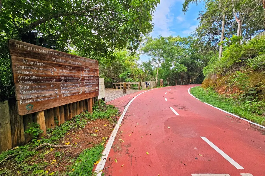 Tour en Bici en Ixtapa Zihuatanejo