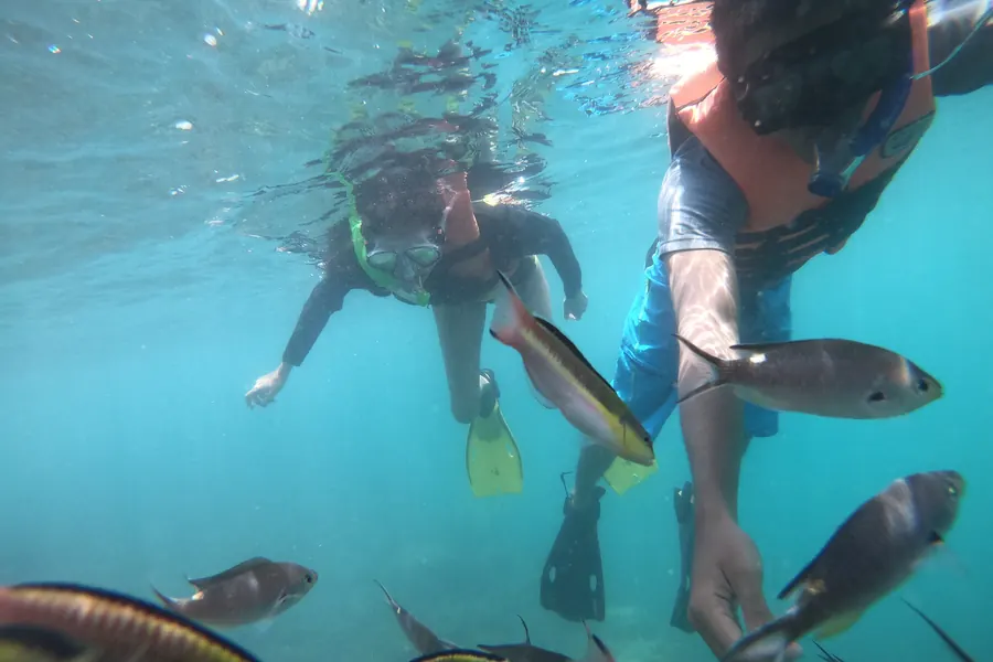 Tour de Snorkel en Ixtapa Zihuatanejo