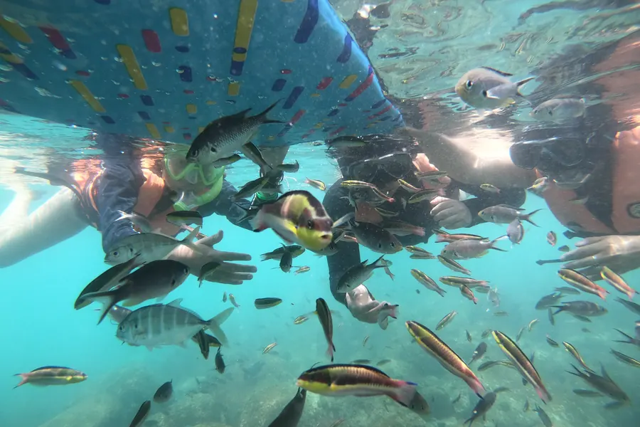 Tour de Snorkel en Ixtapa Zihuatanejo