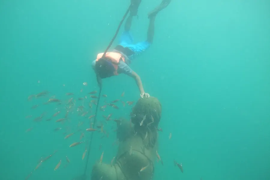 Tour de Snorkel en Ixtapa Zihuatanejo