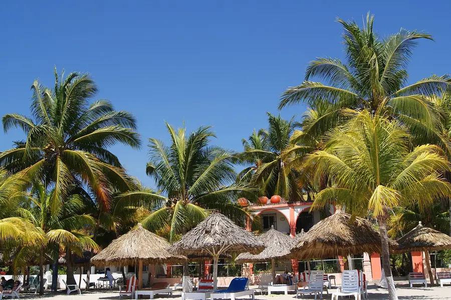 Palapas y palmeras en Playa La Ropa, playa certificada Blue Flag en Zihuatanejo